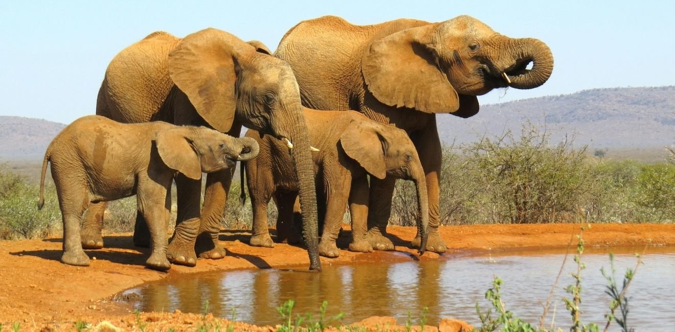 Afrique du Sud