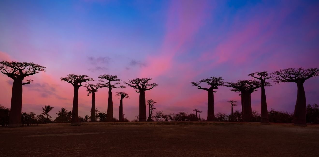Madagascar