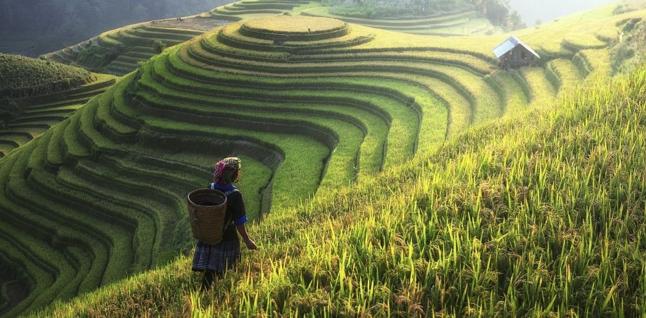Vietnam