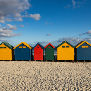 [Vignette] Afrique du sud (7)