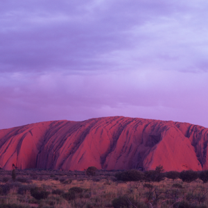 [Vignette] Australie (5)