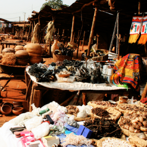 [Vignette] Bénin (7)